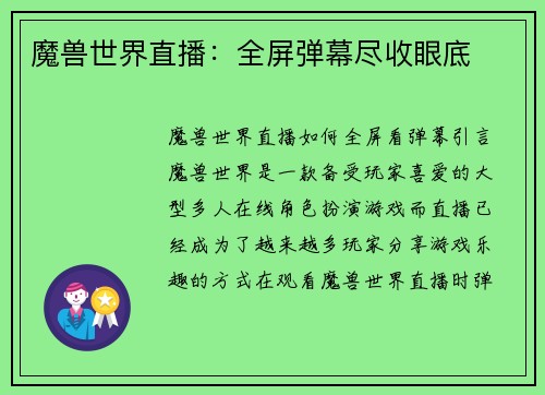 魔兽世界直播：全屏弹幕尽收眼底